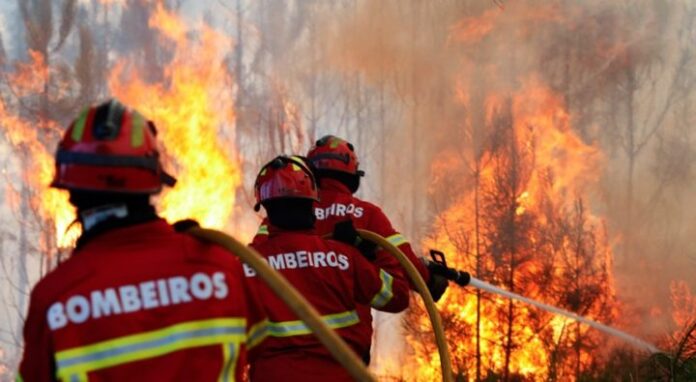 Detido-em-flagrante-no-concelho-de-Pacos-de-Ferreira-por-atear-fogo