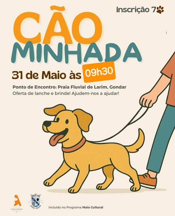 caominhada-solidaria-amarante-celebra-causa-animal-proximo-sabado caominhada-solidaria-amarante-celebra-causa-animal-proximo-sabado