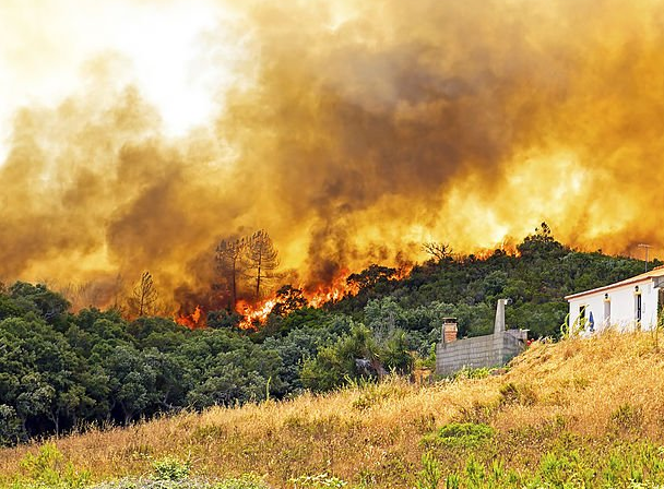 mulher-detida-por-incendio-florestal-em-lousada mulher-detida-por-incendio-florestal-em-lousada