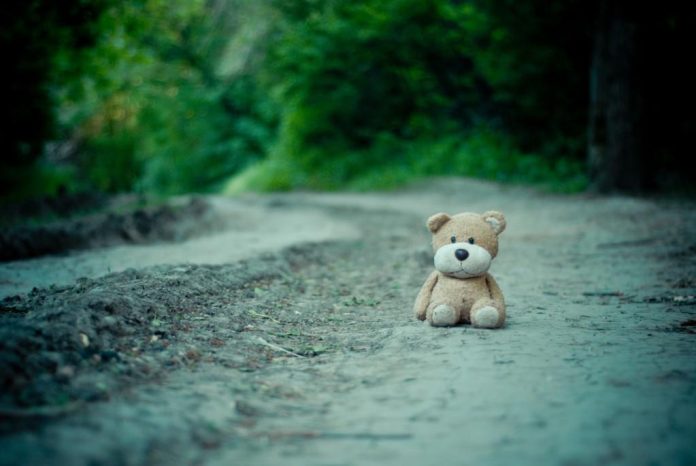 teddy
