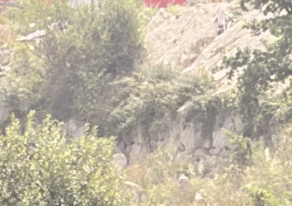 image-10-e1782374795210