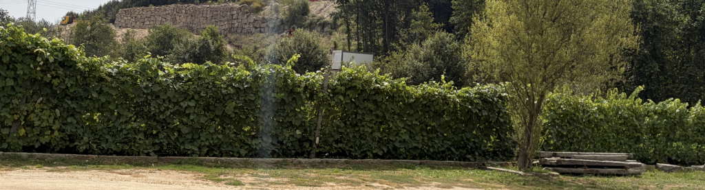 image-9-scaled-e1782374728718